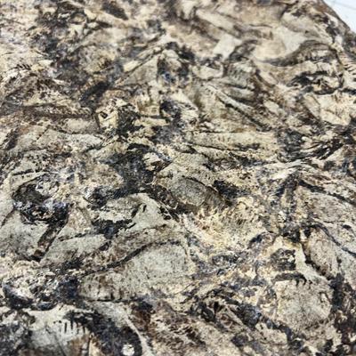 Awesome, LARGE Fossil