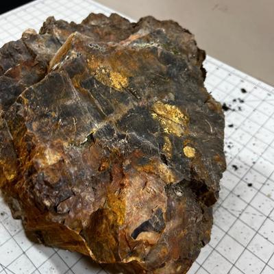 Large Chunk of Petrified 20lbs. Wood. 