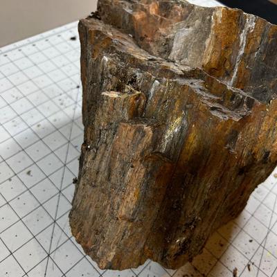 Large Chunk of Petrified 20lbs. Wood. | EstateSales.org