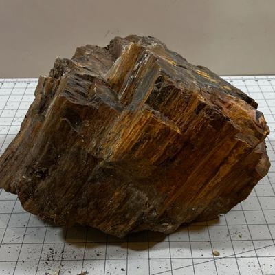 Large Chunk of Petrified 20lbs. Wood. 