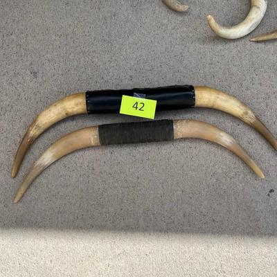 Bull Horns