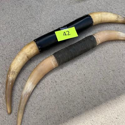 Bull Horns