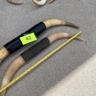 Bull Horns