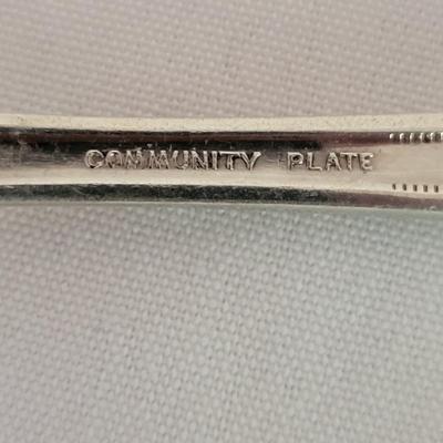 Community Plate Silverware 4pc Setting (1DR-DW)
