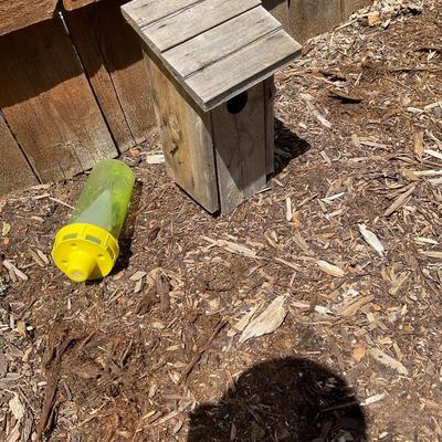 Birdhouse and fly trap