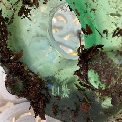 Vintage Glass Terrarium