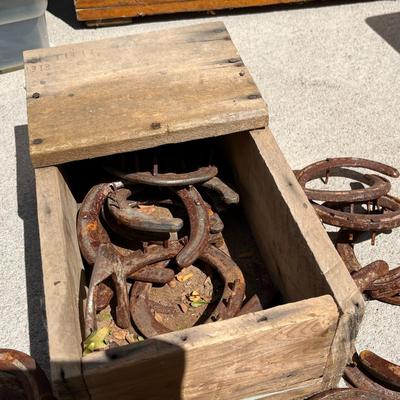 Wood Box full of horse shoes