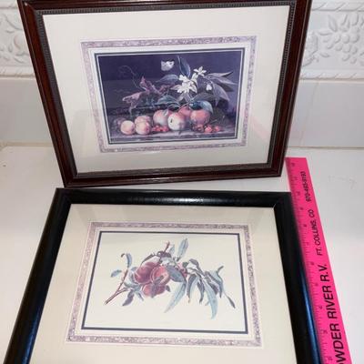 Framed Fruit prints.