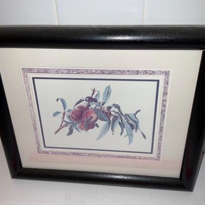Framed Fruit prints.