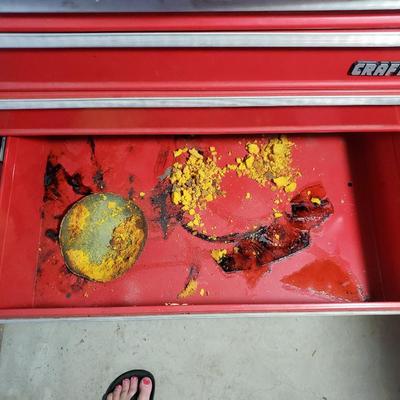 Craftsman Toolbox