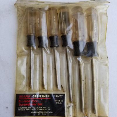 Craftsman Torx Screwdrivers