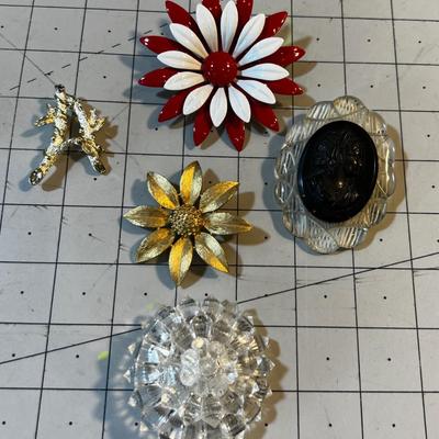 5 Vintage Pins