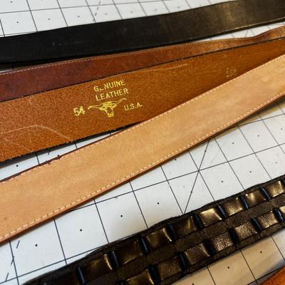 All the Large NICE Belts in the House