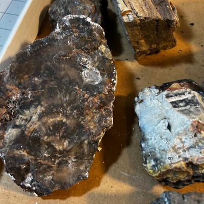 Box of Rocks; Obsidian, Petrified, Pyrite(MONEY Rock), Wonder stone. 