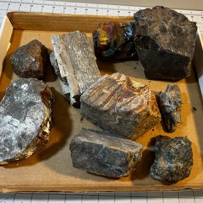 Box of Rocks; Obsidian, Petrified, Pyrite(MONEY Rock), Wonder stone. 