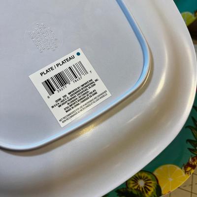 Plastic Pineapple and Flamingo Plates for the Outdoor Party