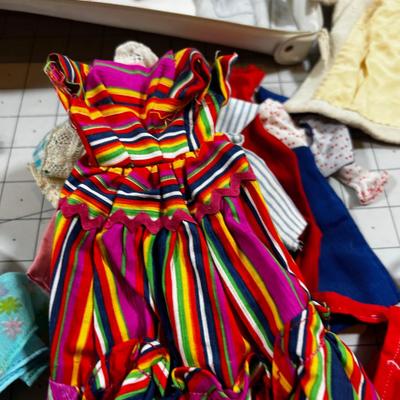 Barbie Doll Clothing Collection PLUS Case. 