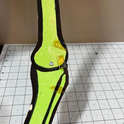 Life Size Skeleton May GLOW? 