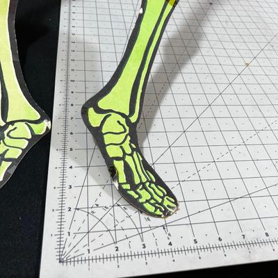 Life Size Skeleton May GLOW? 