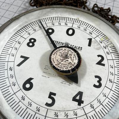 Detecto Hanging Scale