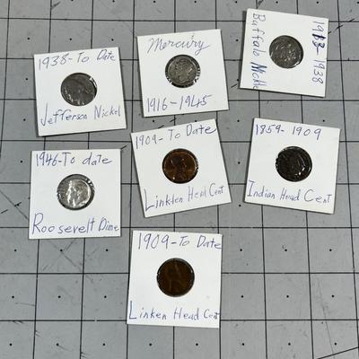 Indian Head Cent, Mercury Dime and Buffalo Nickle (7) Coin total