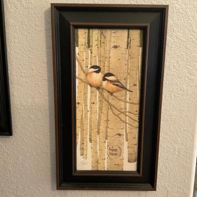 Love Bird pictures