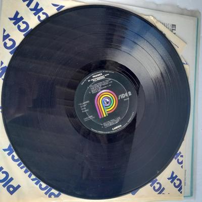 Elvis Presley Sings Flaming Star 12" Vinyl Record LP Record in Great condition 1969