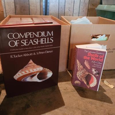 Large Collection of Seashells with Books (1G-CE)