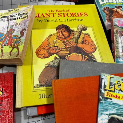 Large Vintage Children Book Lot 