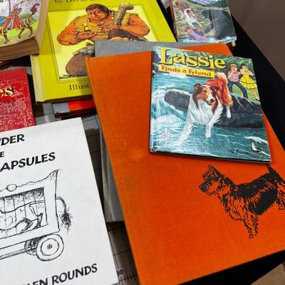 Large Vintage Children Book Lot 