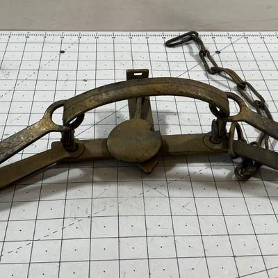 Metal Leg Hold Trap 
