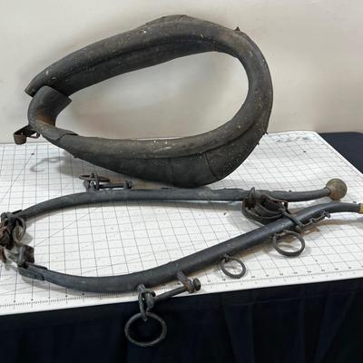 Collar & Hames Pioneer Style