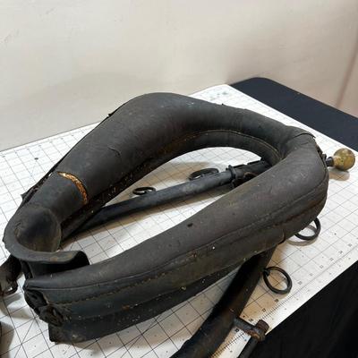 Collar & Hames Pioneer Style