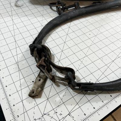 Collar & Hames Pioneer Style