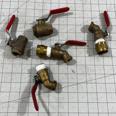 (5) Brass Valves