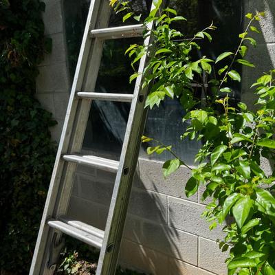 12' Extension Ladder Light Duty