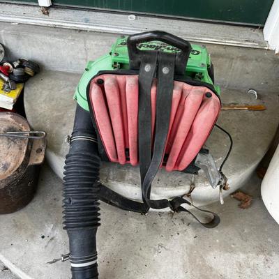 The Green Machine Back Pack Blower 