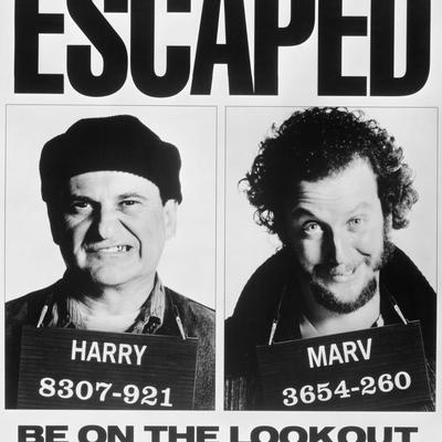 Home Alone The Wet Bandits Escaped Flyer Prop Print