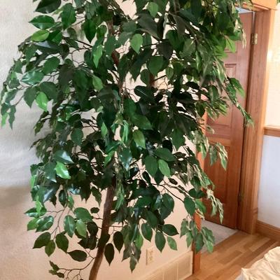 7â€™ Tree