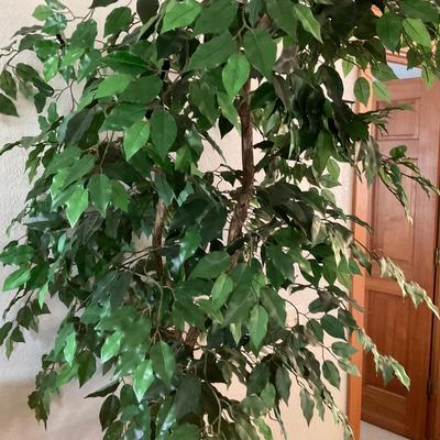 7â€™ Tree