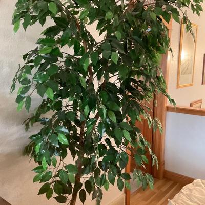 7â€™ Tree
