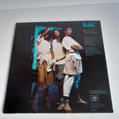 The pointer sisters 12" LP Vinyl Record Albums In great condition!