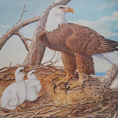 Three Prints Fox, Eagle, and Woman at well Courtesy of Public service Company of Colorado