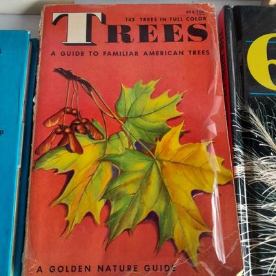 Mostly Children's Books about learning, Worms, Bikes, Reptiles, and more !