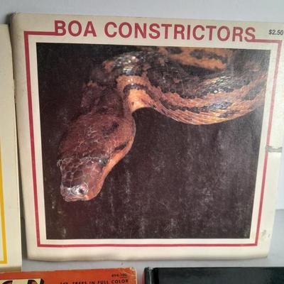 Mostly Children's Books about learning, Worms, Bikes, Reptiles, and more !