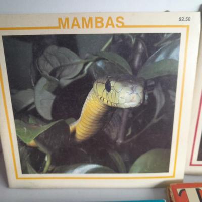 Mostly Children's Books about learning, Worms, Bikes, Reptiles, and more !
