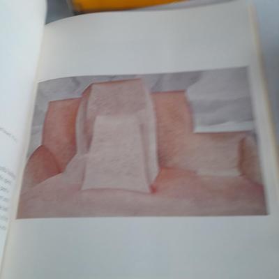 Artist Books, Films of Shirley Temple, Georgia O'Keeffe, Picaso, and elements of Art
