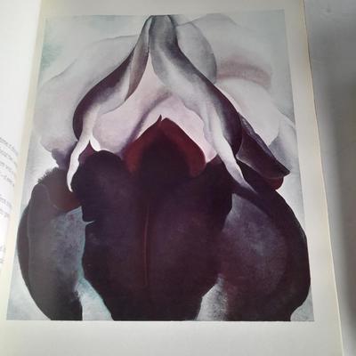 Artist Books, Films of Shirley Temple, Georgia O'Keeffe, Picaso, and elements of Art