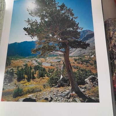 Books about different locations / Oh! the places to go ! John Fielder's Hidden Valleys of Colorado