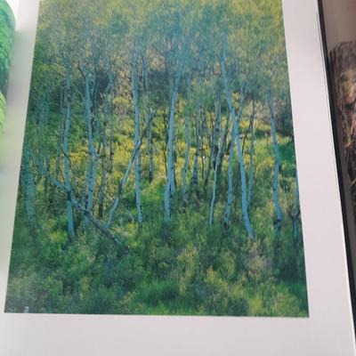 Books about different locations / Oh! the places to go ! John Fielder's Hidden Valleys of Colorado